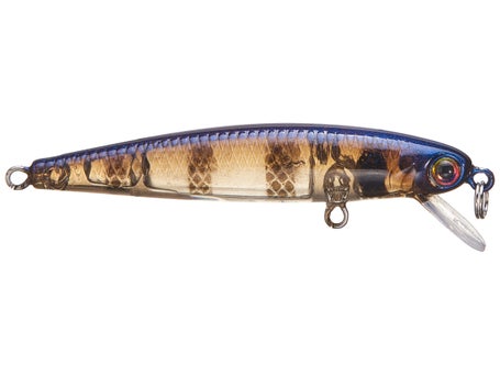 KVD Jerkbait 100  Strike King Lure Company