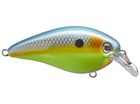 Strike King KVD Elite 1.5 Squarebill Crankbaits\