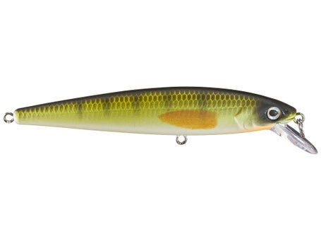 Strike King KVD 200 Series 4 1/2 inch Suspending Medium Jerkbait
