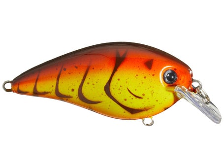 Strike King KVD 1.5 HC Squarebill Silent Crankbait\
