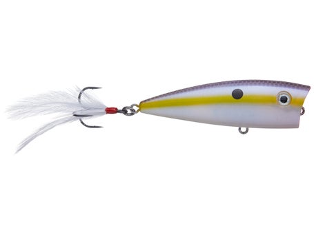 Strike King HC KVD Splash Popper