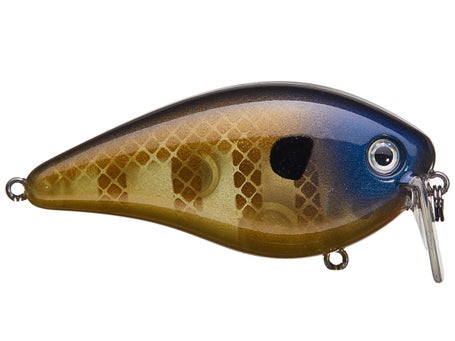 KVD 2.5 Wake Bait/Chartreuse Blue/Black Splatterback : : Sports &  Outdoors