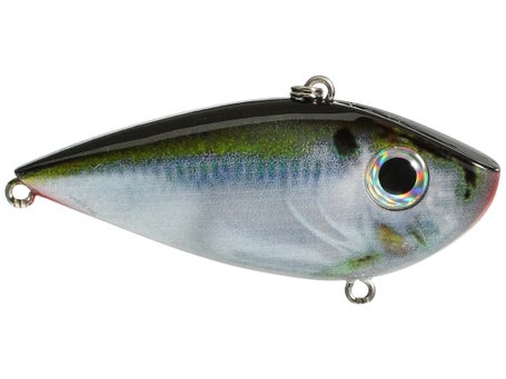 Shad Or Crawdad Color Cranks In Cold Water?…Use THIS Simple System