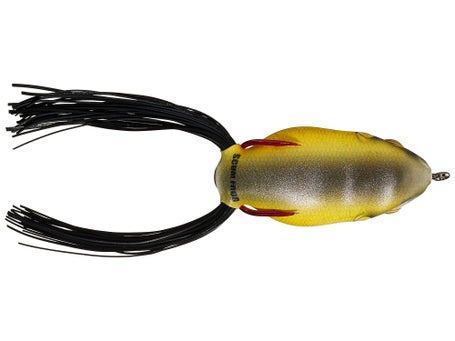 Scum Frog Launch Frog Golden Shiner Scum Frog Launch Frog Golden Shiner