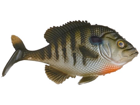 Bass Pro Shops Plush Stuffed Bluegill Fish