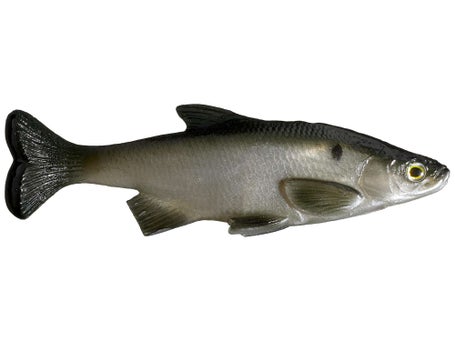 Smash-Tech Baits Weedless Shiner Swimbaits 6