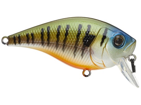 6th Sense Munch 40 Crankbait