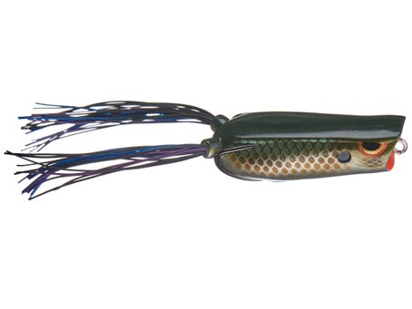 Spro Bronzeye Popper Frog 60 Nasty Shad