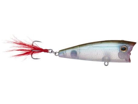 Shop for Castaic Popper 3 at Castaic Fishing. Get free shipping when you  spend over $50!