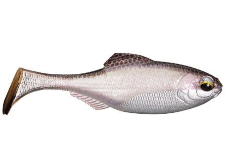 6th Sense Masterclass Panorama Swimbait
