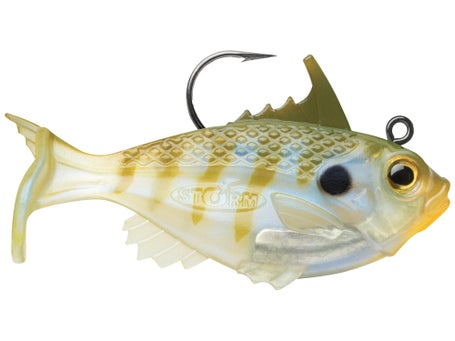 Storm Surge Bluegill