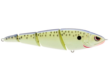 SPRO Sashimmy Swimmer Swimbait