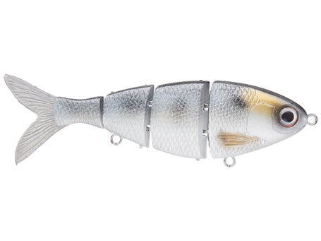 6 White Bass Swimbait 