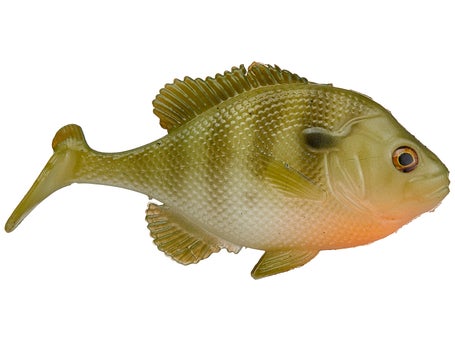 Northland Live-Forage Swimbait - Bluegill Mini