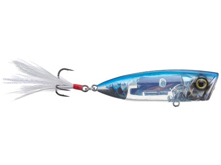 Shimano World Pop 69F Poppers\