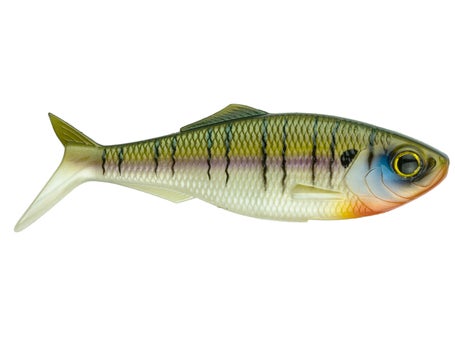 6th Sense 6 Sweep Swimbait fully restocked at Blue Water Gear