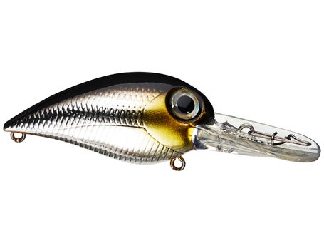  Storm Original Wiggle Wart Lure : Fishing Topwater