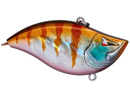 Versatile lipless crankbaits often overlooked