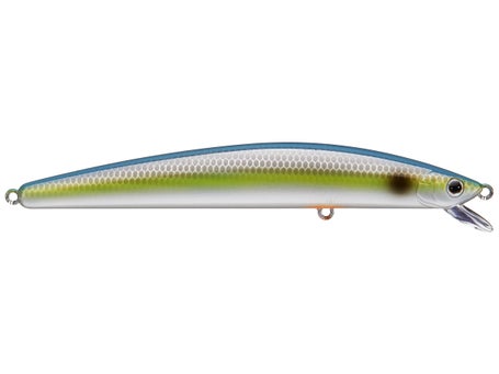 Daiwa TD Minnow 120SP Jerkbaits