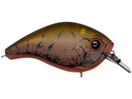 15 Fall Bank Fishing Lures for Bass that Produce - Wired2Fish