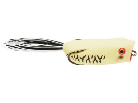 Toad Thumper Thumper Poppin Frog