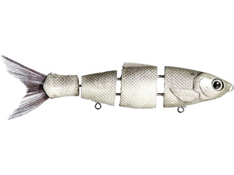 Bull Shad Swimbaits - Tackle Warehouse