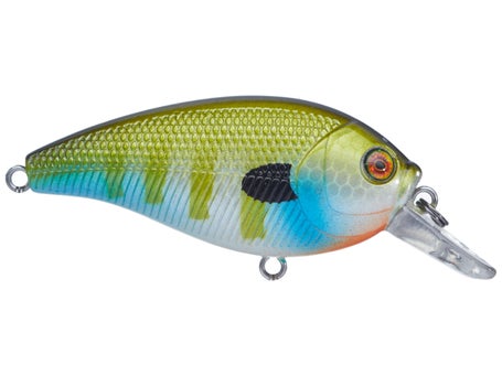 Shallow Diving Crankbaits - Tackle Warehouse