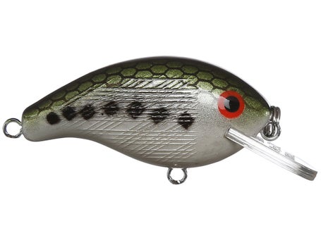 Old lures multi colored , Rebel Crankbait lure for Big Bass fishing.