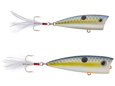 Rebel Lures P6048 Pop-R Fishing Lure - Tennessee Shad, 2 1/2, Topwater  Lures -  Canada