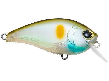 Yo-Zuri 3DB Series Squarebill Crankbait 1.5