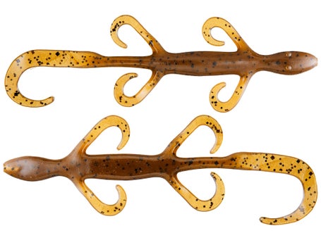 Zoom Lizards