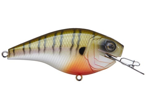 Lot De 3 Leurres 6TH SENSE CRUSH 50X Silencieux - Profondeur 5ft - Pour Tous Poissons