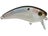 Shad Scales