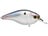Shad Scales
