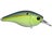 Sexified Chartreuse Shad