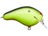 Chartreuse Black Back