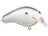 Hot Shad
