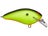 Chartreuse Black Back