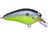 Chartreuse Magic