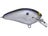 Gizzard Shad Foil
