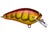 Spring Craw