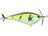 Baby Bream