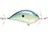 Blue Chartreuse Shad