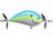 Citrus Shad