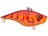 Blood Orange Craw