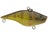 Yellow Perch