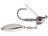 Silver Flash Minnow