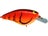 Craw Fish