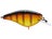 Gold Gill