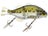 Baby Bass
